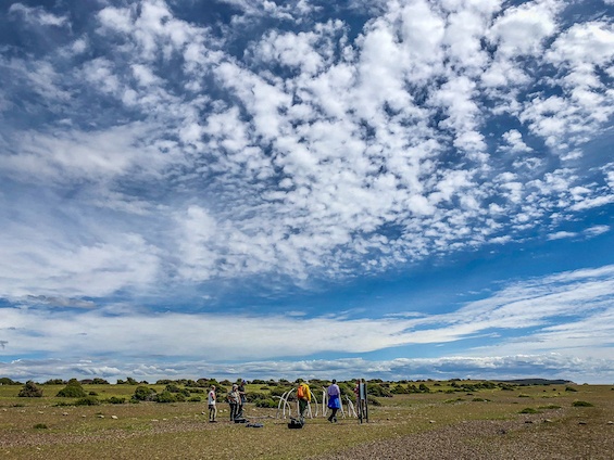 Galería Valdés Peninsula 565x424