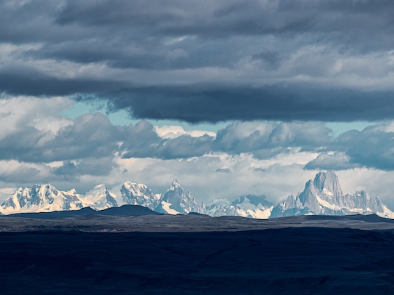 Galería Wildlife SW Patagonia 565x424