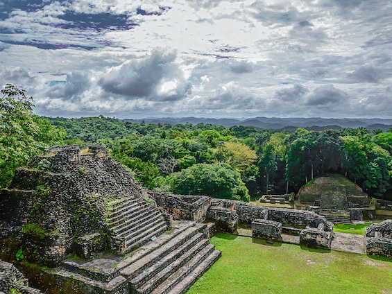 Galería Birds and WL Belize and Tikal 565x424