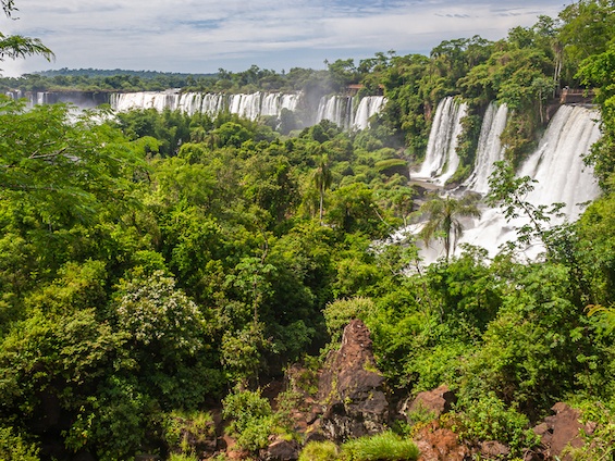 Galería Iguazú National Park 565x424