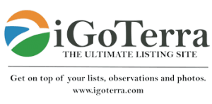 igoterra